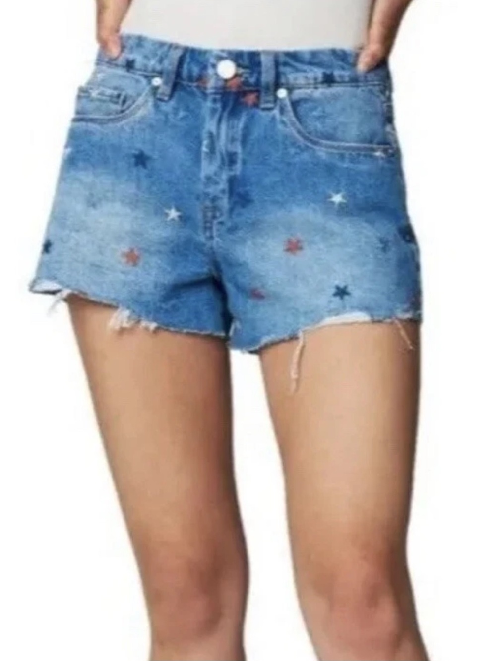BLANKNYC WOMAN THE BARROW VINTAGE HIGH RISE DENIM SHORTS STARS EMBROIDERED